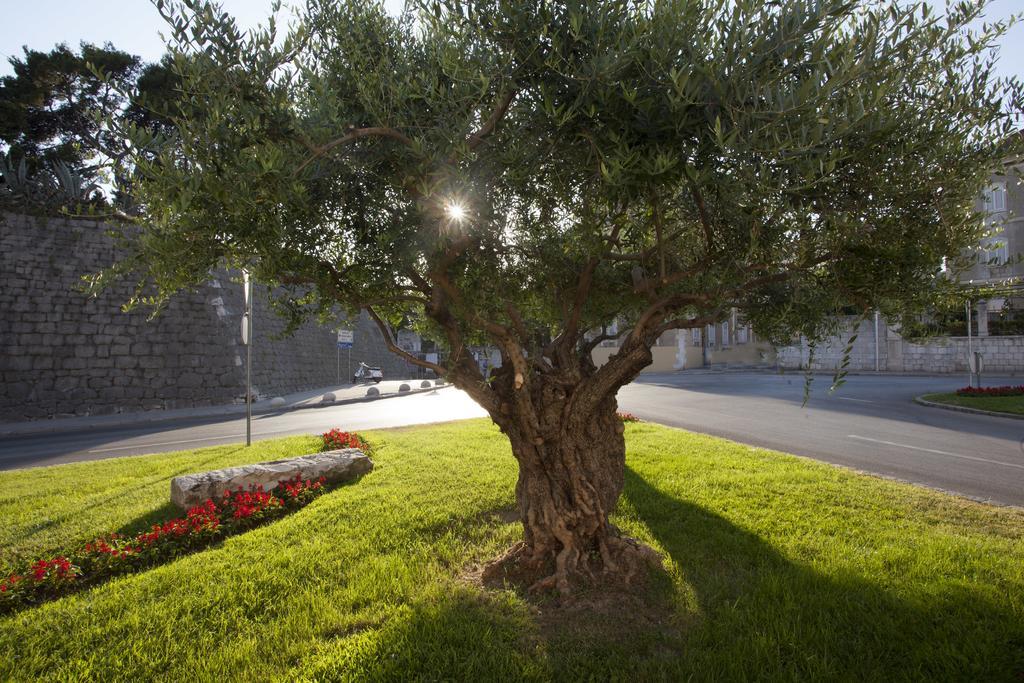 Apartmani Luca Split Dış mekan fotoğraf
